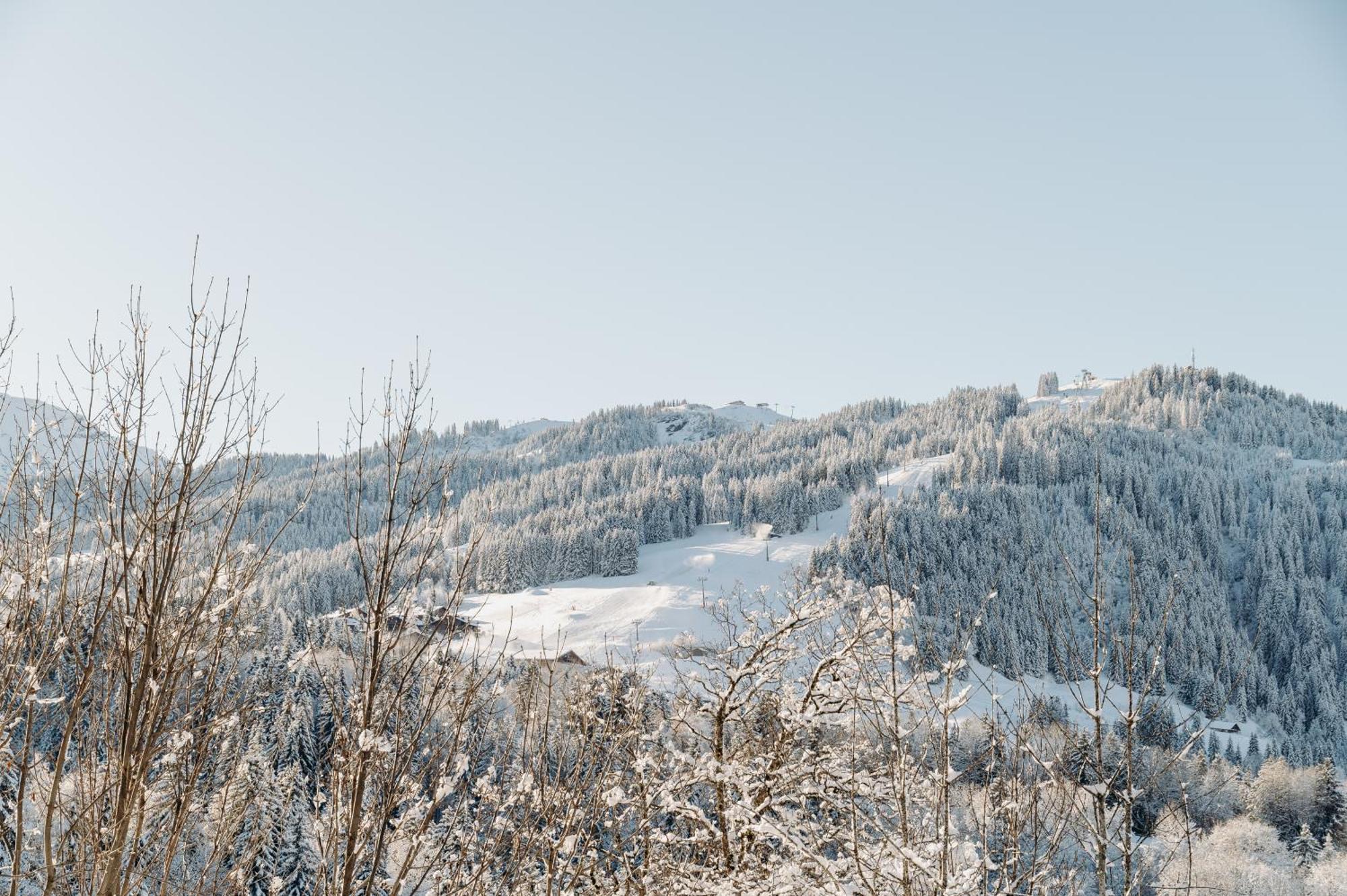 Les Chalets Du Mont D'Arbois & Spa, Megève Dış mekan fotoğraf